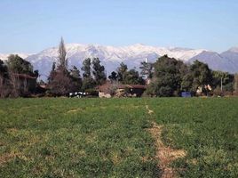  Terreno (Parcela) en venta en Los Andes, Valparaíso, Rinconada, Los Andes