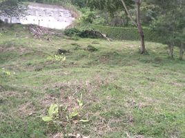  Land for sale in Manizales, Caldas, Manizales