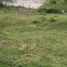  Land for sale in Caldas, Manizales, Caldas