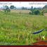  Land for sale in Selemadeg, Tabanan, Selemadeg