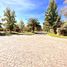  Terreno (Parcela) en venta en Chacabuco, Santiago, Colina, Chacabuco