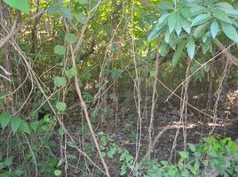  Land for sale in Puerto Morelos, Quintana Roo, Puerto Morelos, Quintana Roo