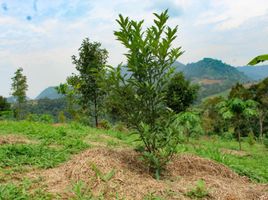  Land for sale in Bogor Selatan, Bogor, Bogor Selatan