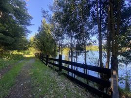  Land for sale in Los Rios, Futrono, Ranco, Los Rios