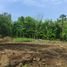  Land for sale in Sedayu, Bantul, Sedayu