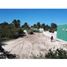 Terrain à vendre à Chicxulub Pueblo, Yucatan, Chicxulub Pueblo