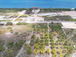  Terreno (Parcela) en venta en Dzidzantun, Yucatán, Dzidzantun