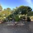 5 Bedroom House for rent in Chile, Algarrobo, San Antonio, Valparaiso, Chile