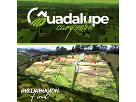 Terrain à vendre à El Carmen De Viboral, Antioquia, El Carmen De Viboral