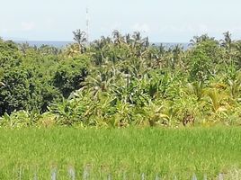  Land for sale in Selemadeg, Tabanan, Selemadeg