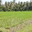  Land for sale in Selemadeg, Tabanan, Selemadeg