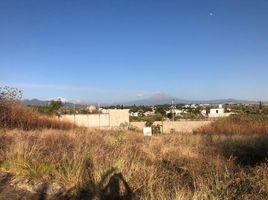  Land for sale in Tlayacapan, Morelos, Tlayacapan
