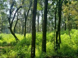 Grundstück zu verkaufen in Valle De Bravo, Mexico, Valle De Bravo