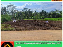  Land for sale in Malang Regency, East Jawa, Ngajum, Malang Regency