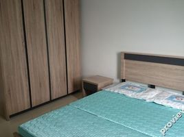 3 Schlafzimmer Appartement zu vermieten in Ward 1, District 5, Ward 1