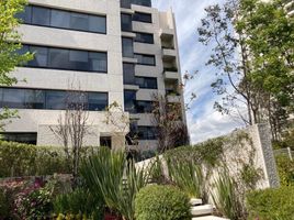 3 Schlafzimmer Appartement zu verkaufen in Naucalpan De Juarez, Mexico, Naucalpan De Juarez, Mexico