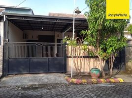 3 Bedroom House for sale in Buduran, Sidoarjo, Buduran