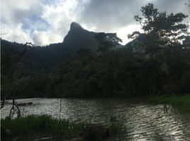  Terreno (Parcela) en venta en Panamá Oeste, El Espino, San Carlos, Panamá Oeste