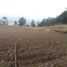  Land for sale in Muisne, Esmeraldas, Muisne, Muisne
