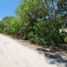  Terreno (Parcela) en venta en Carmen, Campeche, Carmen