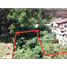  Land for sale in Tenango Del Valle, Mexico, Tenango Del Valle