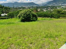  Terrain for sale in Cumbaya, Quito, Cumbaya