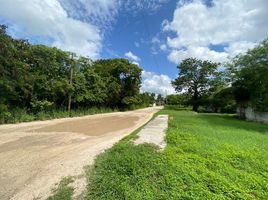  Grundstück zu verkaufen in Conkal, Yucatan, Conkal