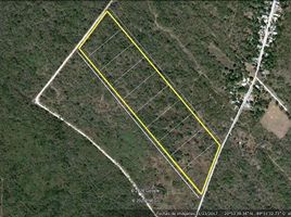  Land for sale in Acanceh, Yucatan, Acanceh