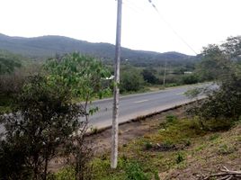  Terreno (Parcela) en venta en Jipijapa, Manabi, Puerto De Cayo, Jipijapa