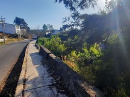  Grundstück zu verkaufen in Donato Guerra, Mexico, Donato Guerra