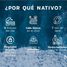  Land for sale in Telchac Puerto, Yucatan, Telchac Puerto