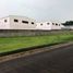  Land for sale in Muntinlupa City, Metro Manila, Muntinlupa City