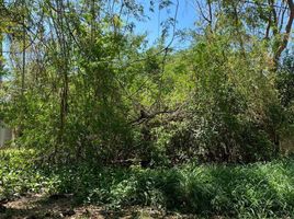 Land for sale in Merida, Yucatan, Merida, Yucatan