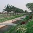  Land for sale in O Cho Dua, Hanoi, O Cho Dua