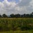  Land for sale in Tlahuapan, Puebla, Tlahuapan