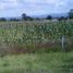  Land for sale in Tlahuapan, Puebla, Tlahuapan