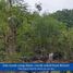  Land for sale in Tepus, Yogyakarta, Tepus, Gunung Kidul