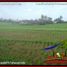  Land for sale in Selemadeg, Tabanan, Selemadeg