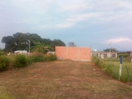  Terreno (Parcela) en venta en Tolima, Espinal, Tolima