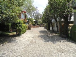 3 Habitación Casa en alquiler en Coyoacan, Ciudad de México, Coyoacan