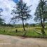  Terreno (Parcela) en venta en Guarne, Antioquia, Guarne