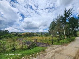  Terreno (Parcela) en venta en Guarne, Antioquia, Guarne