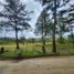  Terreno (Parcela) en venta en Guarne, Antioquia, Guarne