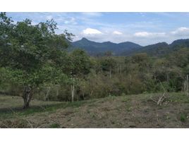  Terrain for sale in Santa Elena, Manglaralto, Santa Elena, Santa Elena