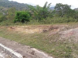  Terreno (Parcela) en venta en Cebu City, Central Visayas, Cebu City, Cebu, Central Visayas, Filipinas