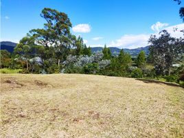  Land for sale in La Ceja, Antioquia, La Ceja