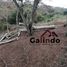  Land for sale in Coatepec, Veracruz, Coatepec