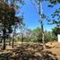  Land for sale in Morelia, Michoacan, Morelia