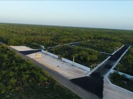  Terreno (Parcela) en venta en Yaxkukul, Yucatán, Yaxkukul