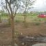  Terreno (Parcela) en venta en Kalasan, Yogyakarta, Kalasan, Sleman